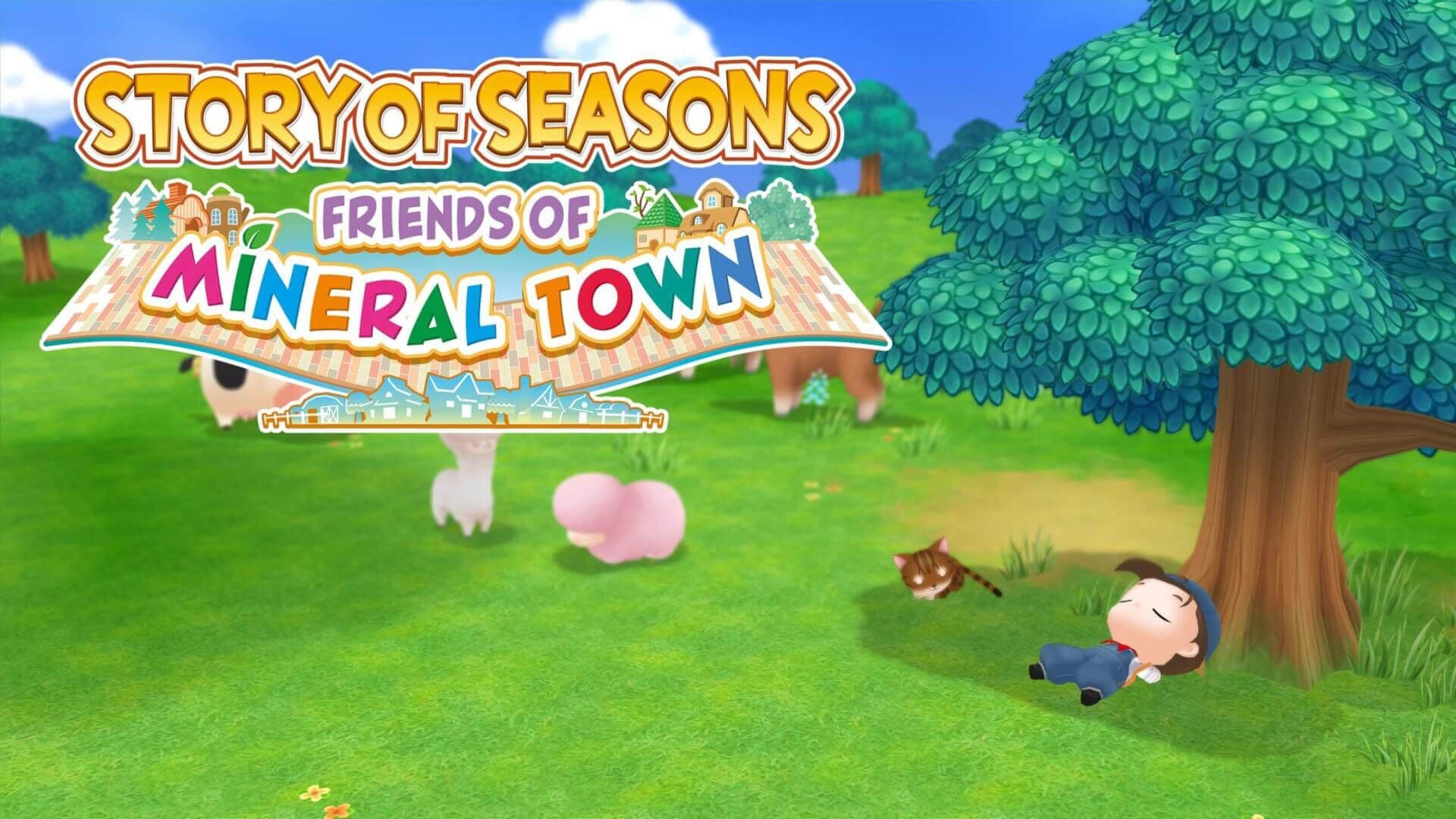 Story Of Seasons 1 Kopie