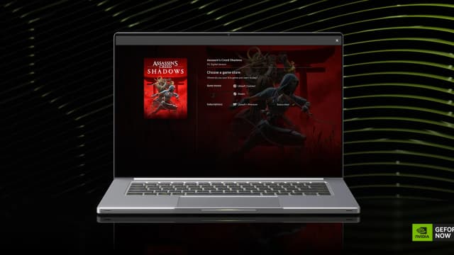 Bild ohne Beschreibung