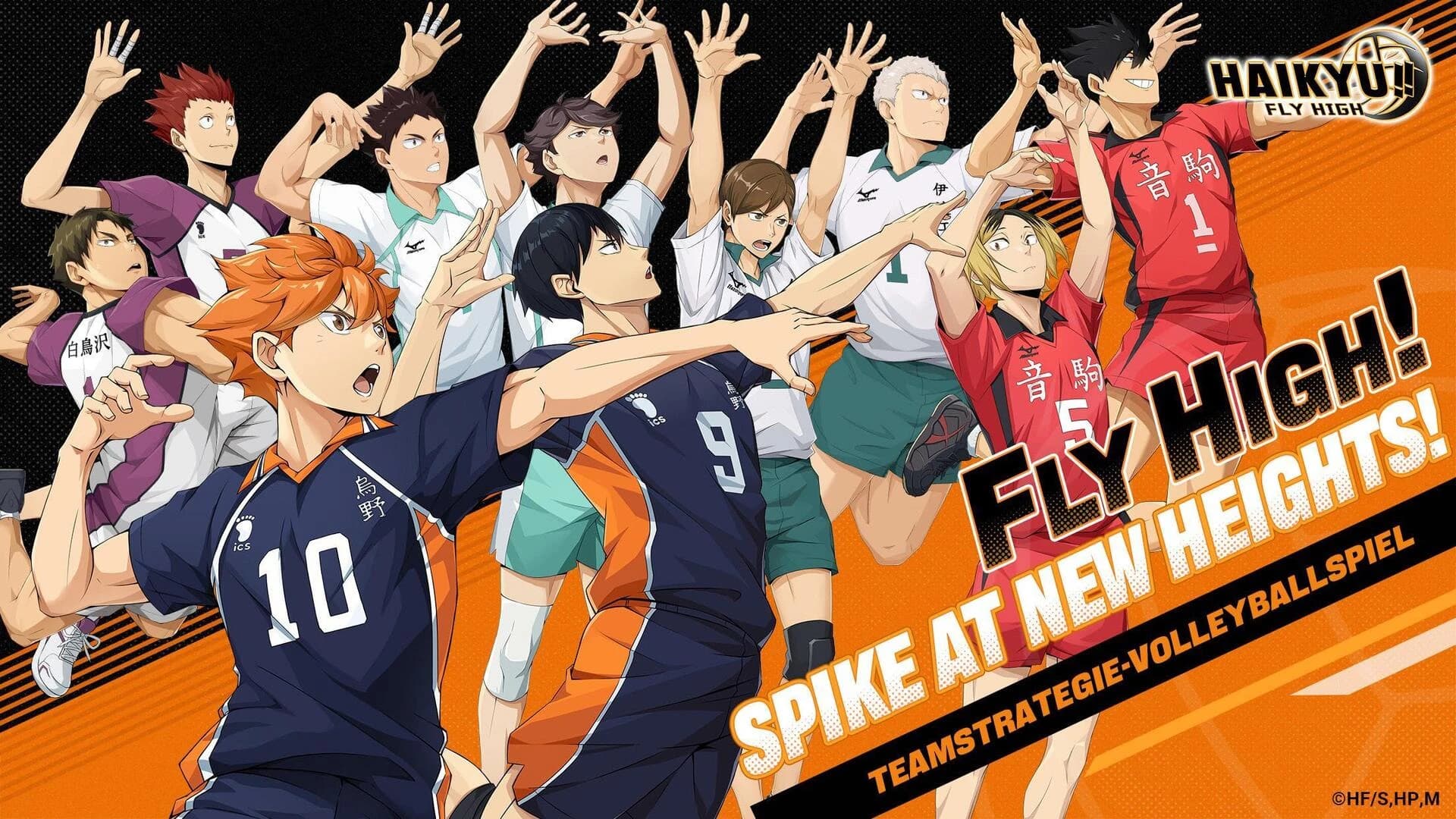 HAIKYU!! FLY HIGH